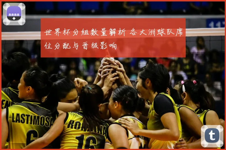 世界杯分组数量解析 各大洲球队席位分配与晋级影响