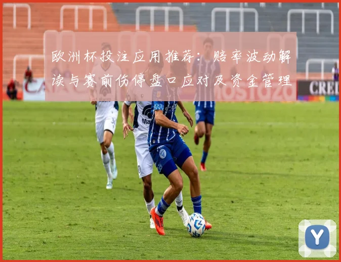 欧洲杯投注应用推荐：赔率波动解读与赛前伤停盘口应对及资金管理要点