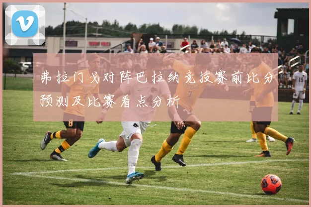 弗拉门戈对阵巴拉纳竞技赛前比分预测及比赛看点分析