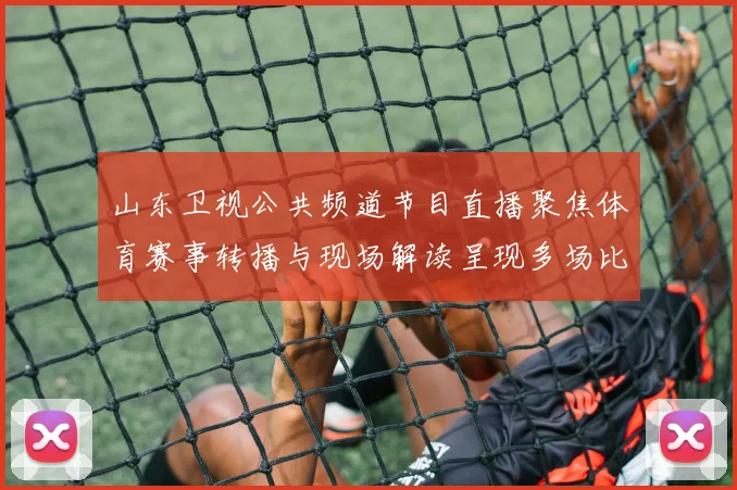 山东卫视公共频道节目直播聚焦体育赛事转播与现场解读呈现多场比赛看点