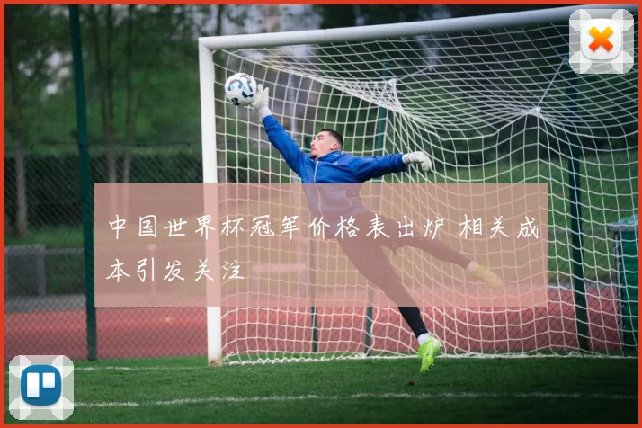 中国世界杯冠军价格表出炉 相关成本引发关注
