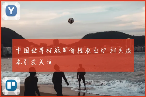 中国世界杯冠军价格表出炉 相关成本引发关注