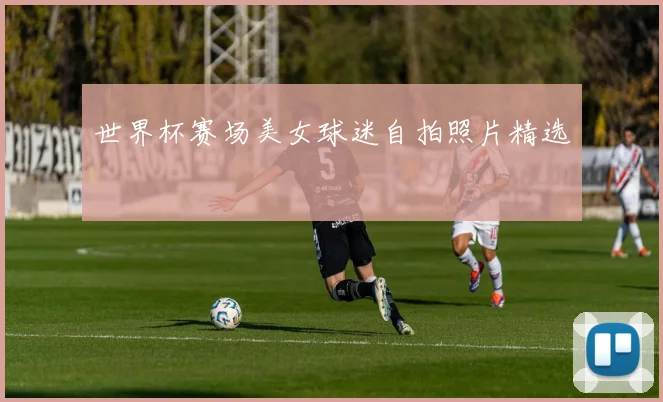 世界杯赛场美女球迷自拍照片精选